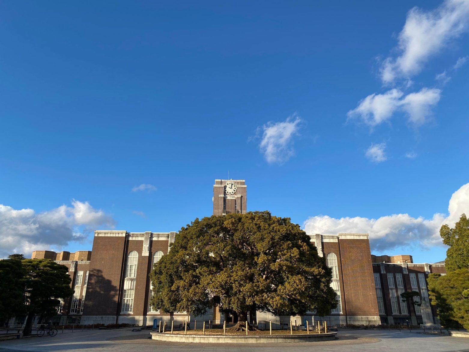 京都大学